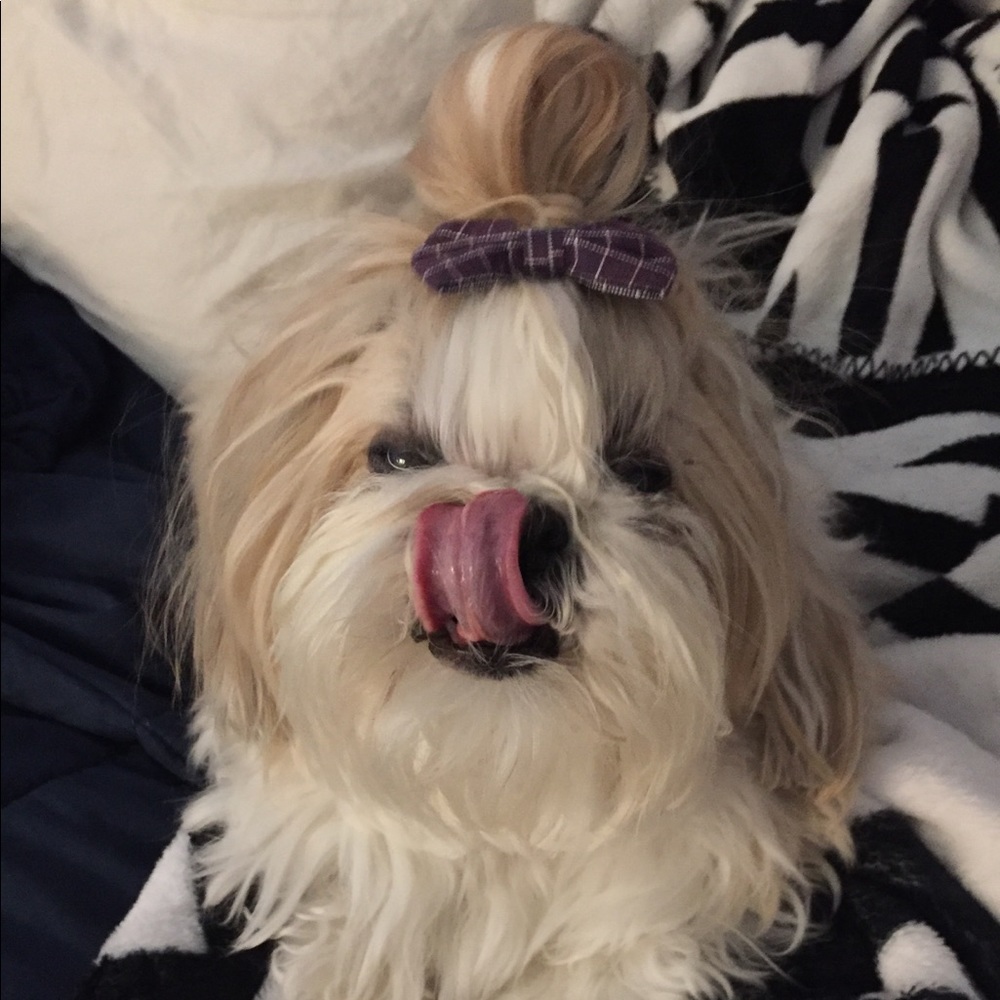Boy bun and bows